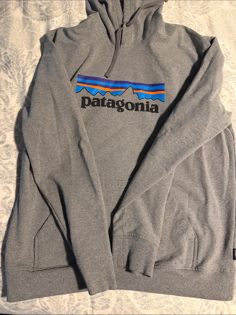 Patagonia Gray Hoodie with Blue, Purple, Orange and Yellow Stripe Logo